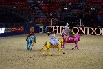 Quadrille - 00555